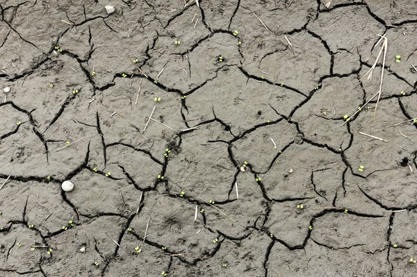 What Are the Effective Strategies for Erosion Control on UK's Coastal Cliffs?